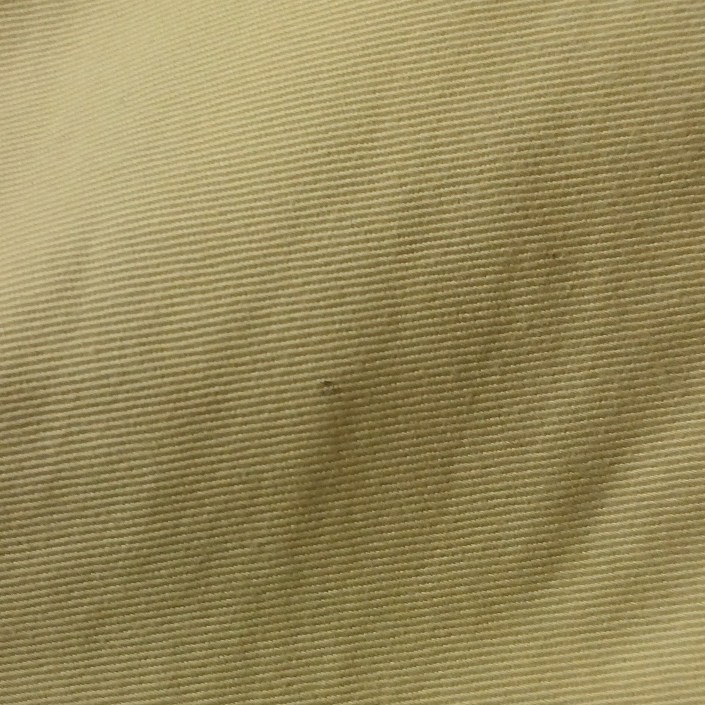 J. Crew Chino Shorts Cream Yellow Green Lizard Gecko Embroidered Cotton Size 4 - Picture 12 of 12